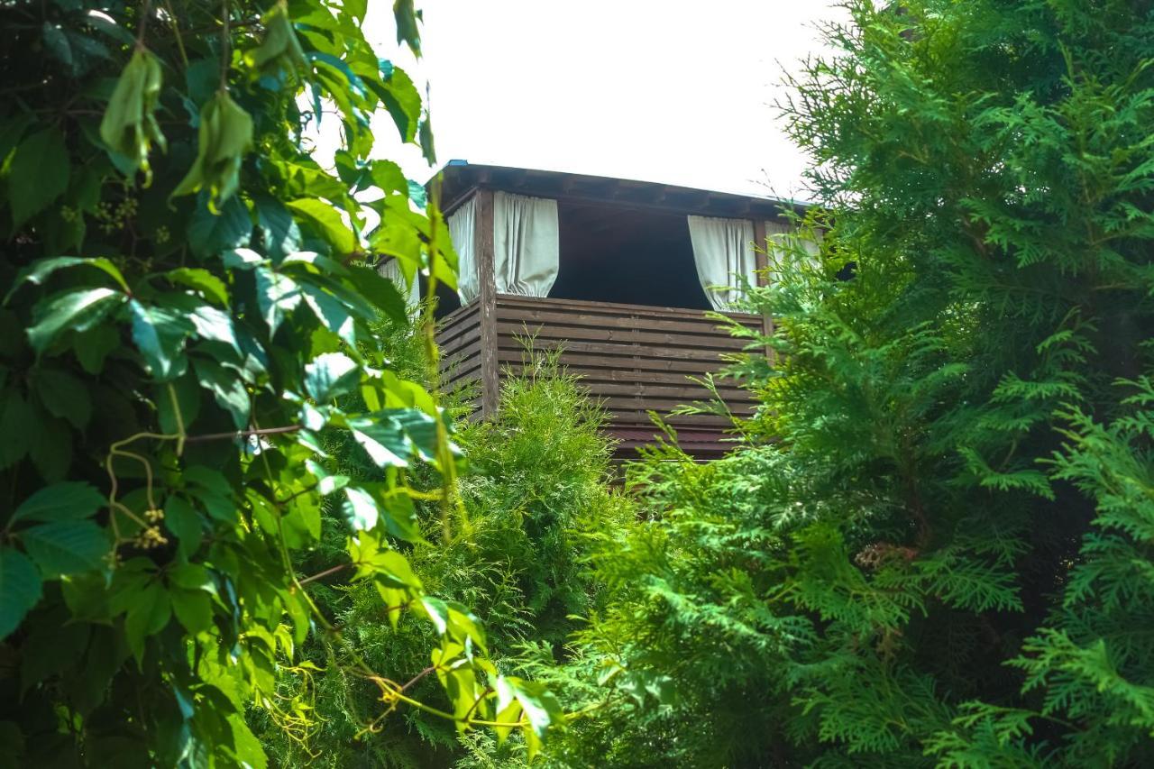 Fazenda Hotell Sumy Exteriör bild